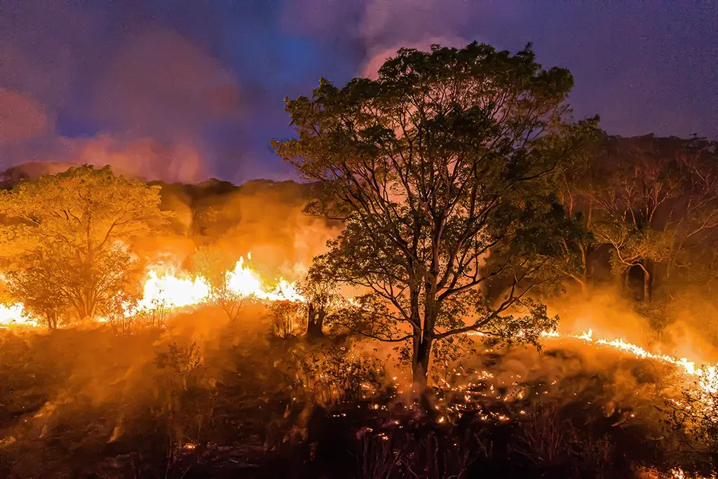 Incêndios no pantanal