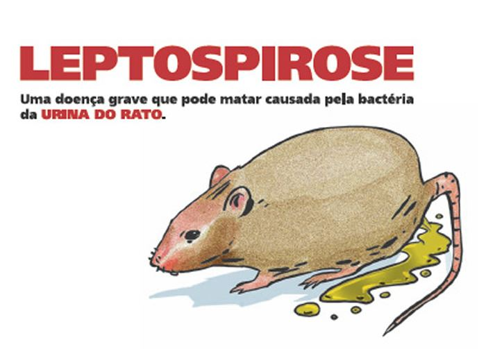 Curso Online da Fiocruz sobre Leptospirose: 3 módulos para saber sobre Diagnóstico, Tratamento e Prevenção!