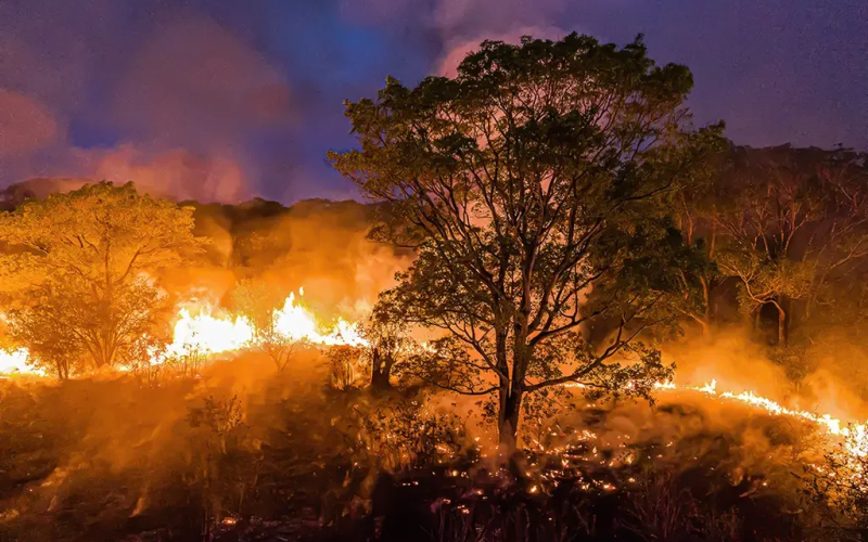 Incêndios no Pantanal: Situação Acima da Capacidade Humana de Previsão